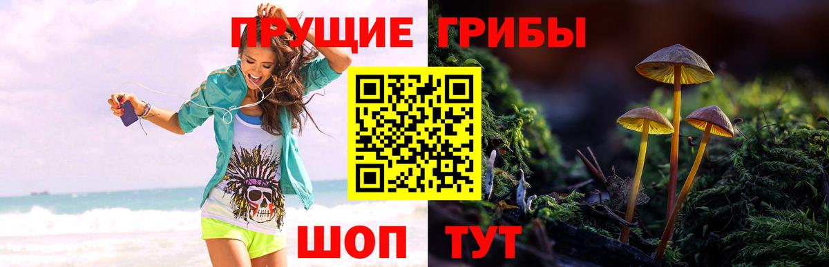 Галлюциногенные грибы прущие грибы  Галлюциногенные грибы MAGIC MUSHROOMS  Ефремов  наркошоп  Вход с VPN 